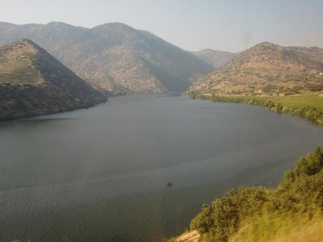 photo CIMG9393_zps3b83a0df.jpg