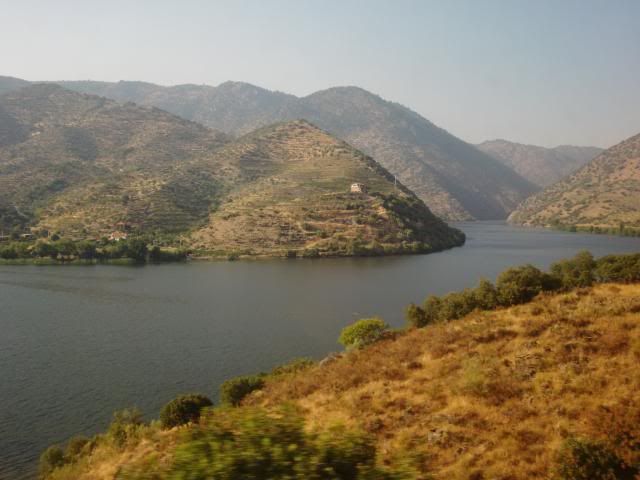 photo CIMG9394_zps3b3a878f.jpg