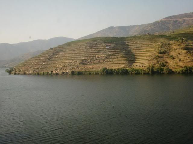 photo CIMG9397_zpsbeff777a.jpg