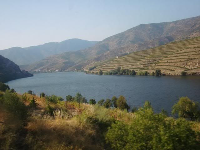 photo CIMG9398_zps341ac546.jpg