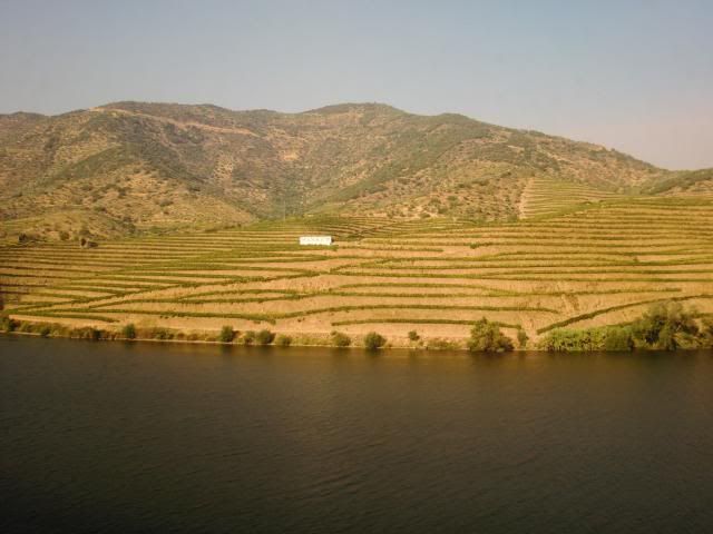 photo CIMG9400_zps88352f96.jpg