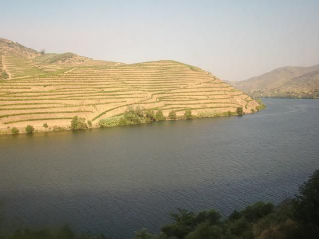 photo CIMG9401_zpse0b69e7d.jpg