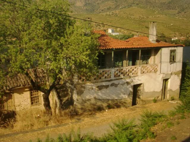 photo CIMG9402_zps97dc8e3b.jpg