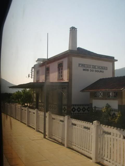 photo CIMG9403_zps3b3b3ee3.jpg