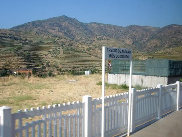 photo CIMG9404_zps839029e5.jpg