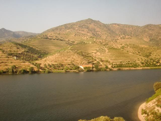 photo CIMG9405_zps89a6cbef.jpg