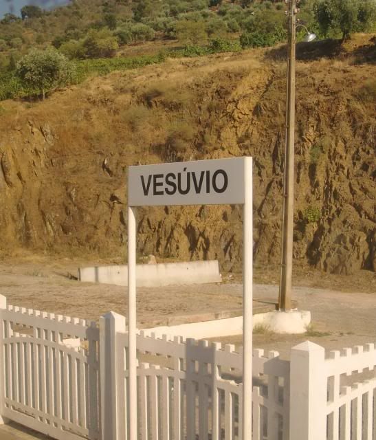 photo CIMG9410_zpse294c8a3.jpg