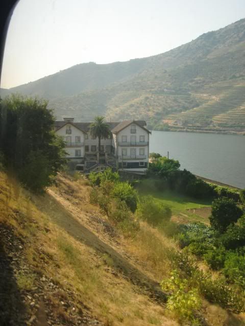 photo CIMG9412_zpsfc6c1c77.jpg