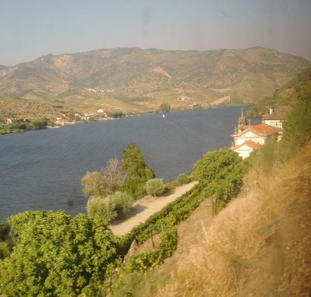 photo CIMG9414_zpseebe9d54.jpg