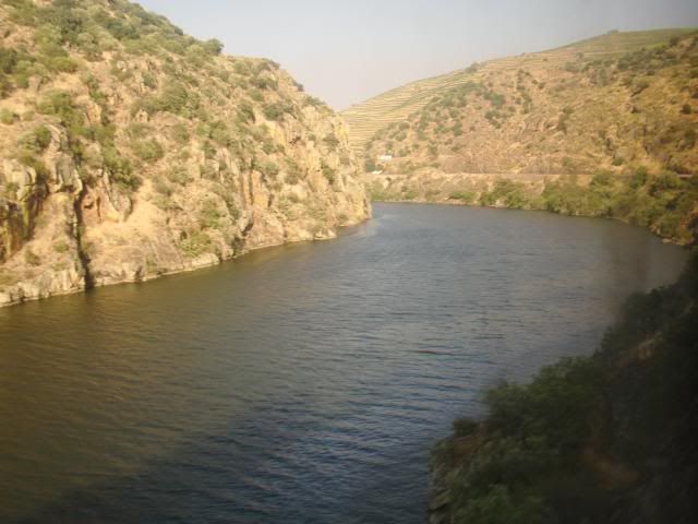 photo CIMG9419_zpsb20ecb1c.jpg