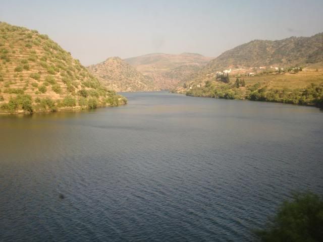 photo CIMG9423_zps1a43654c.jpg