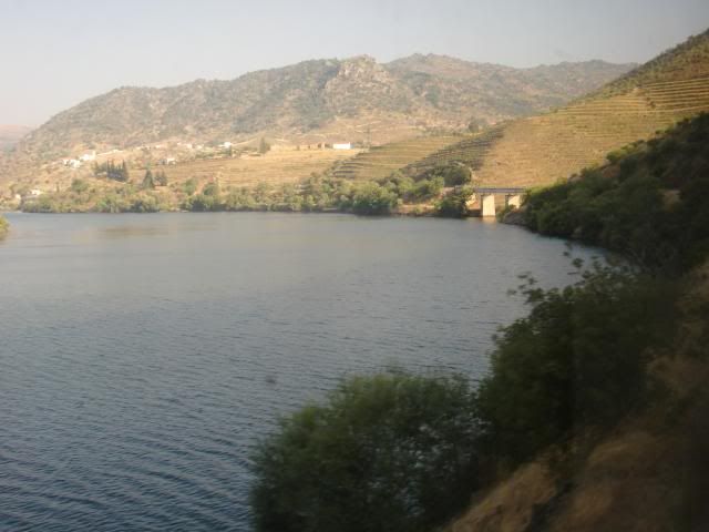 photo CIMG9424_zpse5d1d18c.jpg