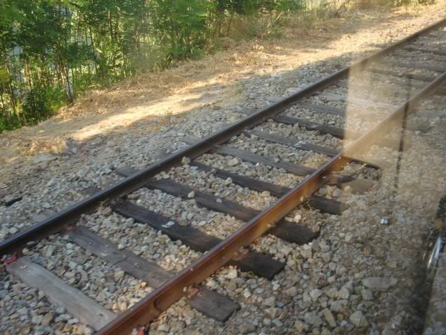 photo CIMG9426_zps62191f5a.jpg