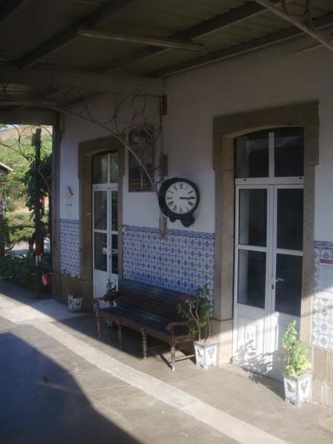 photo CIMG9427_zps380674d3.jpg