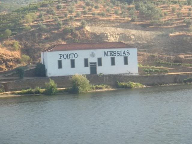 photo CIMG9435_zps488ee399.jpg