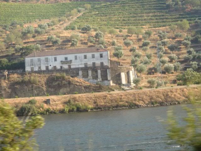 photo CIMG9436_zps08220108.jpg