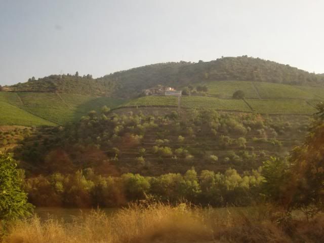 photo CIMG9446_zps1a453dc8.jpg