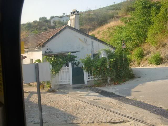 photo CIMG9448_zps809f954c.jpg