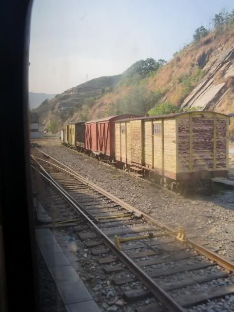 photo CIMG9450_zpsc42e5479.jpg