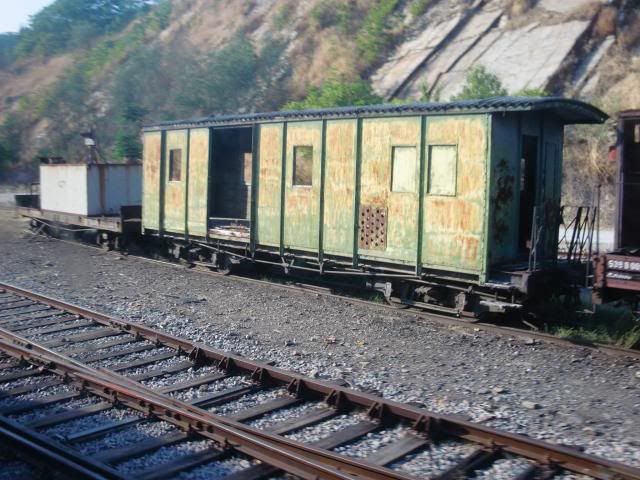 photo CIMG9451_zps8354974c.jpg