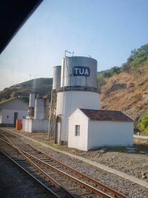 photo CIMG9452_zps2f265600.jpg