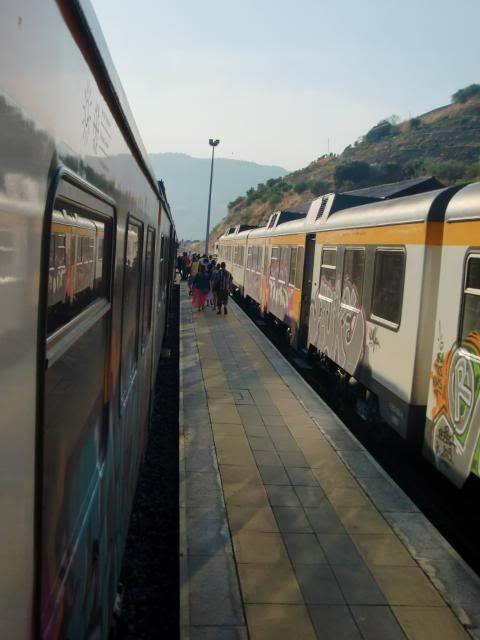 photo CIMG9455_zps151bf9a5.jpg