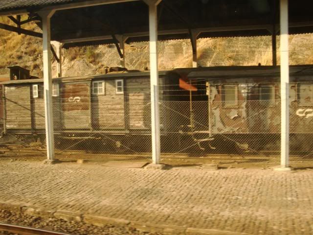 photo CIMG9457_zpsa9e5053d.jpg