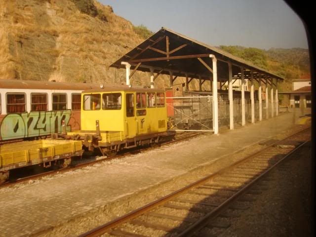 photo CIMG9458_zpsa5f16a4d.jpg