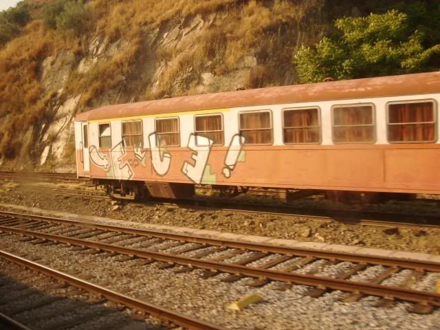 photo CIMG9459_zps61ecb335.jpg