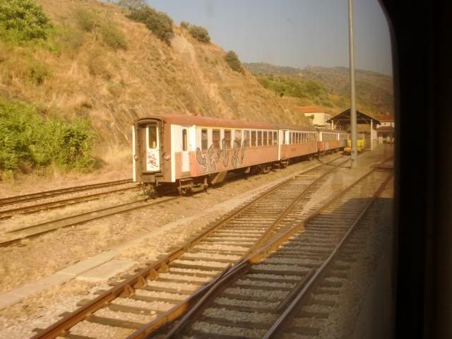 photo CIMG9460_zps864c84f6.jpg