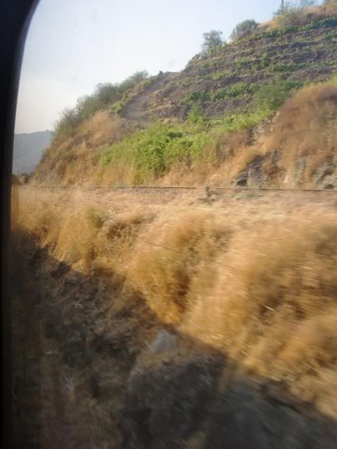 photo CIMG9461_zps63adca7e.jpg