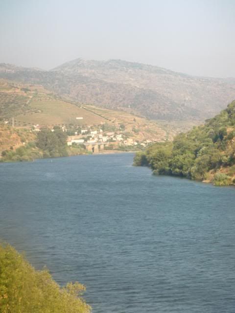 photo CIMG9469_zps0f71924d.jpg