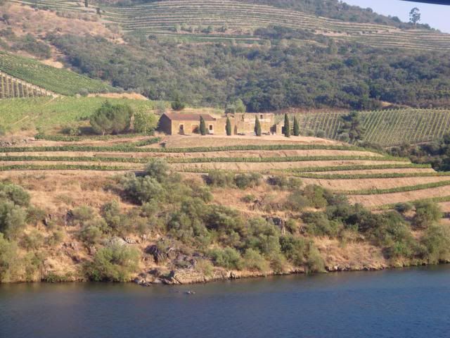 photo CIMG9471_zps5e096807.jpg