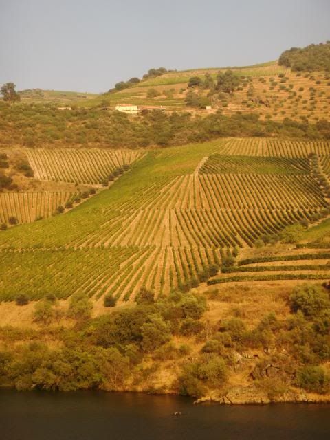 photo CIMG9472_zps655feb95.jpg