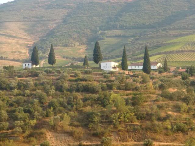 photo CIMG9476_zps10f24525.jpg