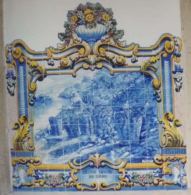 photo CIMG9483_zps4b74e3f4.jpg