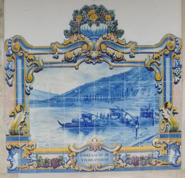 photo CIMG9484_zps5aa52ade.jpg