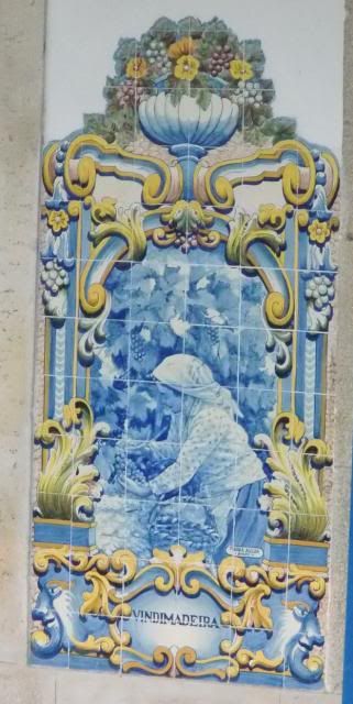 photo CIMG9487_zps2995da8d.jpg