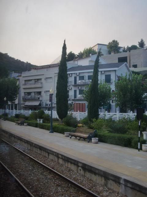 photo CIMG9488_zps48aef834.jpg