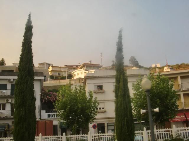 photo CIMG9489_zpsf4d84c98.jpg