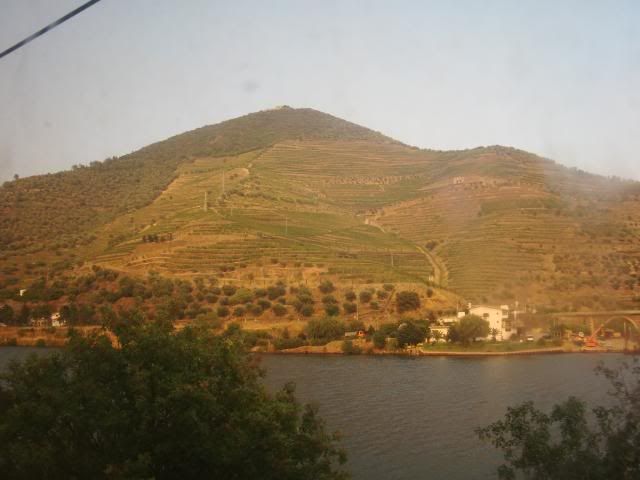 photo CIMG9492_zps4c1d9f79.jpg