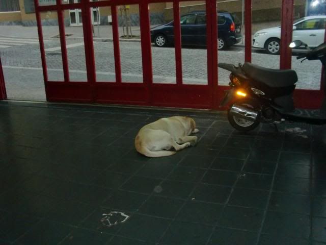 photo CIMG9509_zps18810a12.jpg