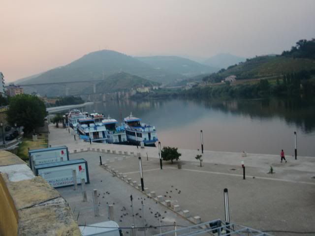 photo CIMG9513_zps3b1c88bd.jpg