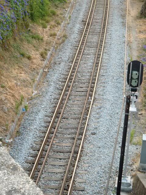 photo CIMG9518_zps82237ed8.jpg