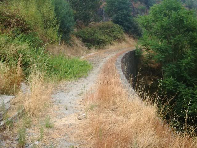 photo CIMG9520_zps49c5ee1e.jpg