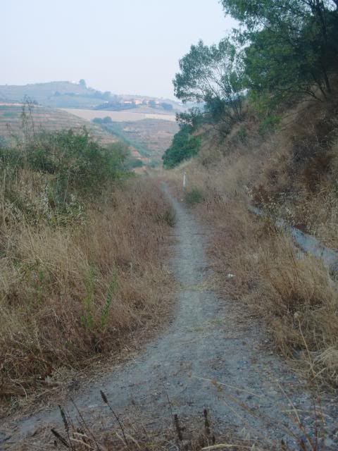 photo CIMG9523_zpsa4693779.jpg