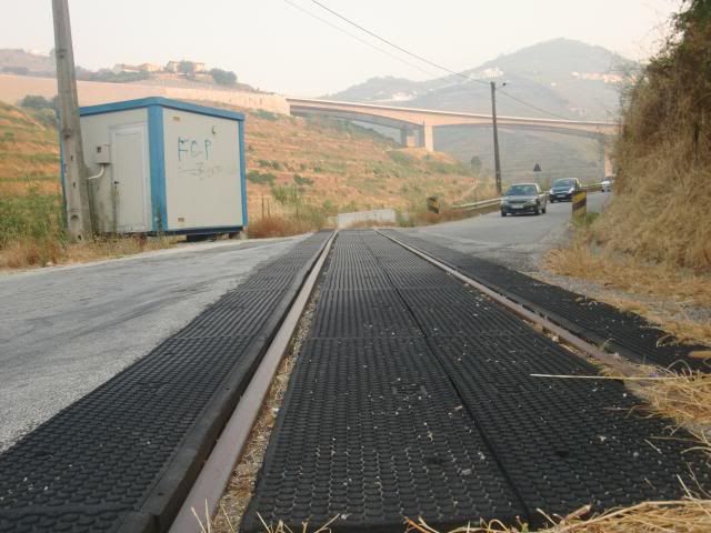 photo CIMG9525_zpsdb8c2115.jpg