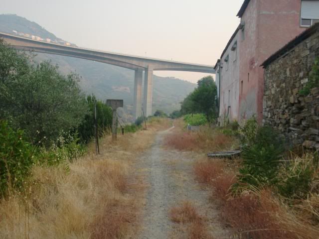 photo CIMG9527_zps567aa76d.jpg