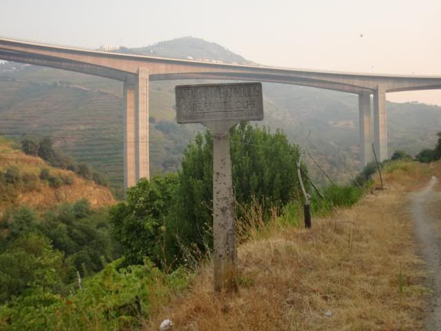 photo CIMG9528_zps5e3dea0b.jpg