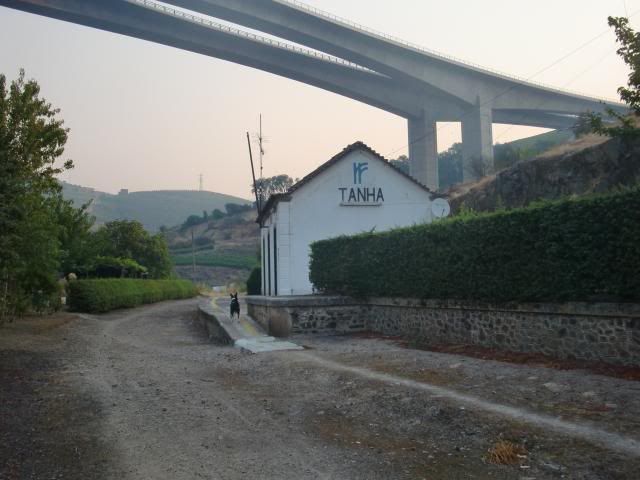 photo CIMG9529_zps2a91f83e.jpg